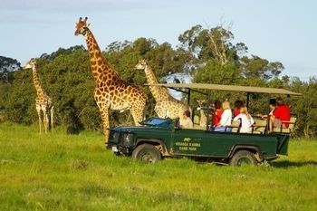 Kragga Kamma Game Park Hotel Port Elizabeth Exterior photo